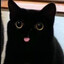 Kitty