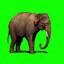 elephantgreenscreeneffect