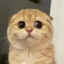 没有名称