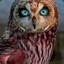 KnowItOwl