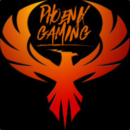 PhoenixTFG - steam id 76561198012373949