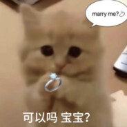 八嘎太君来了还不让路