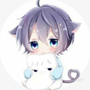 小鹏会飞到万里的