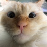Jensinator