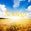 Schlegi