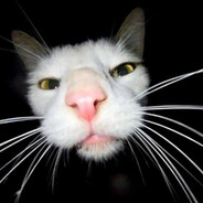 egocentr1zm - steam id 76561199803935797