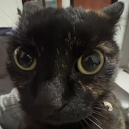 Ahmad Hassan Al-Faruq