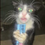 :morty.