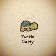 Turtle - steam id 76561197960867684
