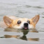 edgar