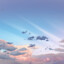 The Farewell
