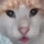 Morgano
