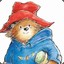 padington_bear