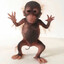 lililulu