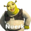 NARIZON