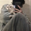 染柒