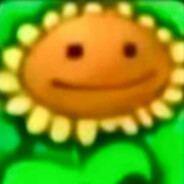 帅气的向日葵先生