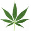 Mary Jane