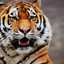 ♱Amur Tiger♱cs.money