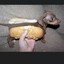 Hotdog