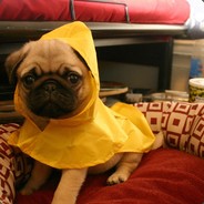 那个爱笑的你丶