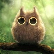 没有感情的电脑玩家