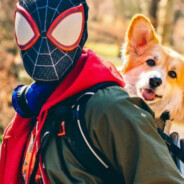 能力越小责任越小