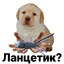 ИИ: легкий