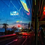 贝奇野菜我最爱