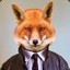 Mr.Fox