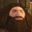 ps1 hagrid