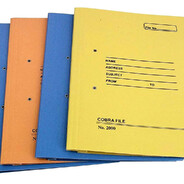 The Effrey Jepstein Files