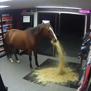 hors