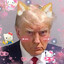 Trumpy wumpy (Non Executive)