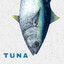 Just a fish
