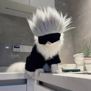 R̶ᴇ̶s̶ᴛ̶ᴀ̶ʀ̶ᴛ̶