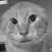 哈基米摸南北绿豆