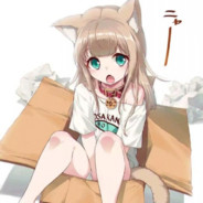 实名上网王小歪