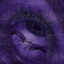 Cursed by God