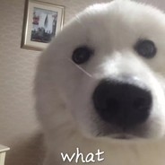 Wendy今天染头发zzz