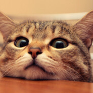 一边跑滴滴一边送外卖