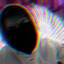 Рак228