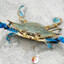 krab