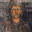 Sint-Franciscus