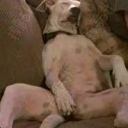 给你寄点土特产