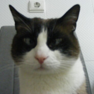 susaninhagameplays03