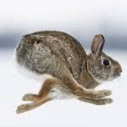 никита еджбаг Zxc