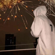 桃花不知人难阙