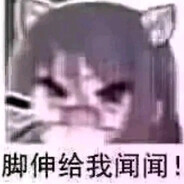 二次元和足控最没素质