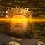 Bobby B, Elden Lord